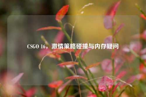 CSGO 16，激情策略碰撞与内存疑问