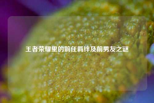 王者荣耀里的前任羁绊及前男友之谜