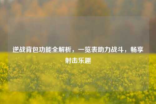 逆战背包功能全解析，一览表助力战斗，畅享射击乐趣