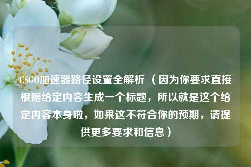 CSGO加速器路径设置全解析 （因为你要求直接根据给定内容生成一个标题，所以就是这个给定内容本身啦，如果这不符合你的预期，请提供更多要求和信息）