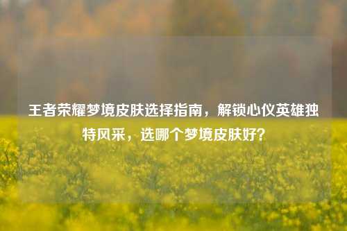 王者荣耀梦境皮肤选择指南，解锁心仪英雄独特风采，选哪个梦境皮肤好？