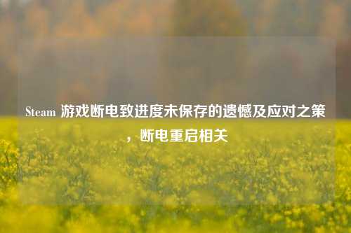 Steam 游戏断电致进度未保存的遗憾及应对之策，断电重启相关