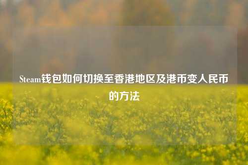 Steam钱包如何切换至香港地区及港币变人民币的方法
