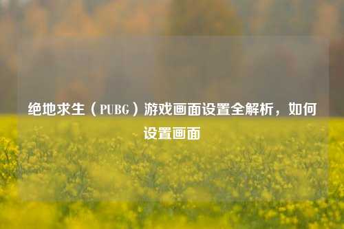 绝地求生（PUBG）游戏画面设置全解析，如何设置画面