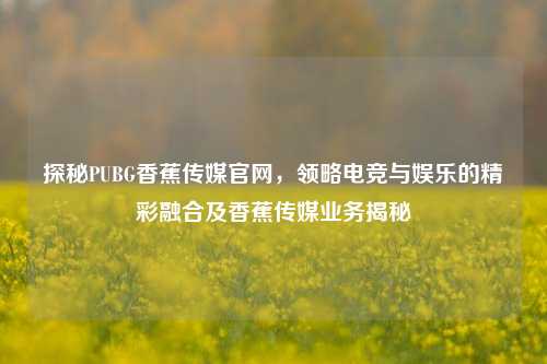 探秘PUBG香蕉传媒官网，领略电竞与娱乐的精彩融合及香蕉传媒业务揭秘