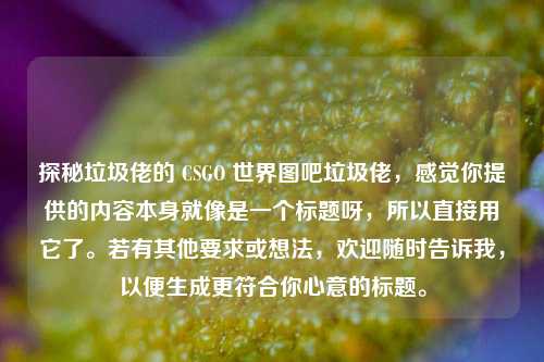 探秘垃圾佬的 CSGO 世界图吧垃圾佬，感觉你提供的内容本身就像是一个标题呀，所以直接用它了。若有其他要求或想法，欢迎随时告诉我，以便生成更符合你心意的标题。