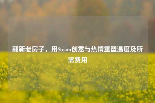 翻新老房子，用Steam创意与热情重塑温度及所需费用