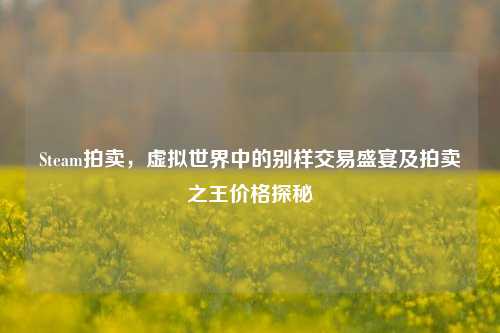 Steam拍卖，虚拟世界中的别样交易盛宴及拍卖之王价格探秘