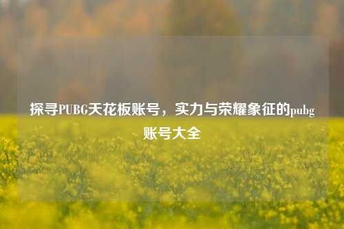 探寻PUBG天花板账号，实力与荣耀象征的pubg账号大全