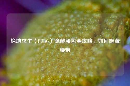 绝地求生（PUBG）隐藏腰包全攻略，如何隐藏腰带