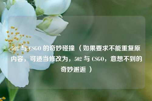 502 与 CSGO 的奇妙碰撞 （如果要求不能重复原内容，可适当修改为，502 与 CSGO，意想不到的奇妙邂逅 ）