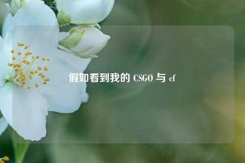 假如看到我的 CSGO 与 cf