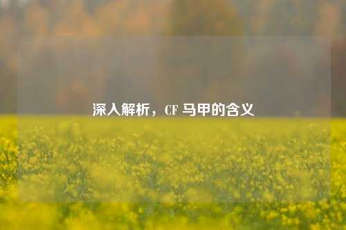深入解析，CF 马甲的含义