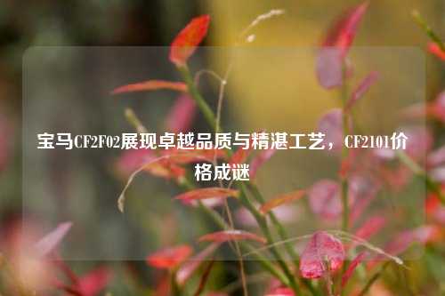 宝马CF2F02展现卓越品质与精湛工艺，CF2101价格成谜