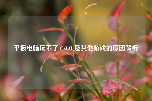 平板电脑玩不了 CSGO 及其他游戏的原因解析