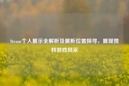 Steam个人展示全解析及展柜位置探寻，展现独特游戏风采