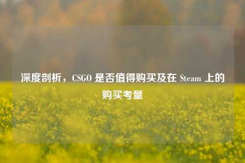 深度剖析，CSGO 是否值得购买及在 Steam 上的购买考量