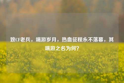 致CF老兵,端游岁月,热血征程永不落幕,其端游之名为何?