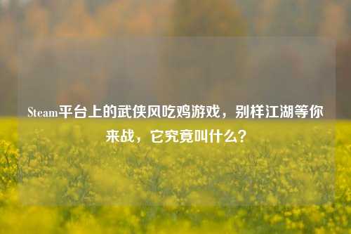 Steam平台上的武侠风吃鸡游戏,别样江湖等你来战,它究竟叫什么?