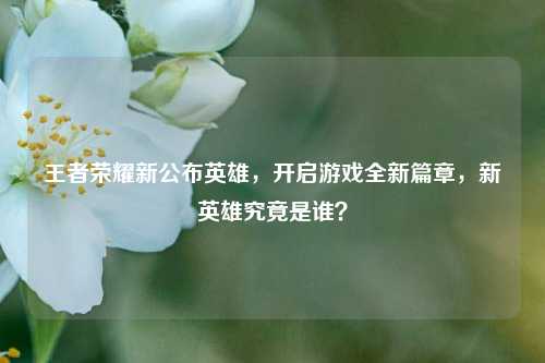 王者荣耀新公布英雄,开启游戏全新篇章,新英雄究竟是谁?