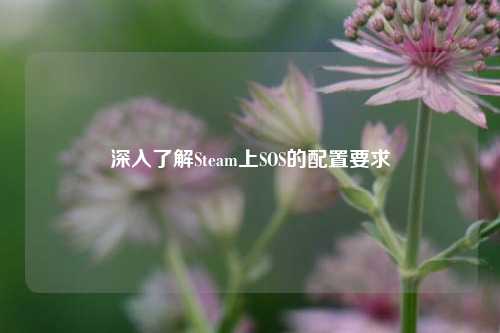 深入了解Steam上SOS的配置要求