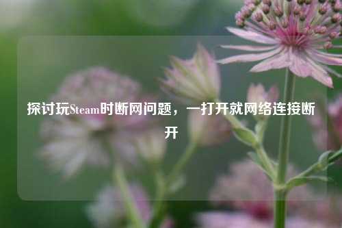 探讨玩Steam时断网问题，一打开就网络连接断开