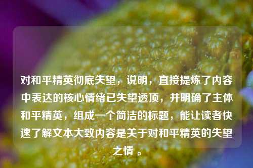 对和平精英彻底失望,说明,直接提炼了内容中表达的核心情绪已失望透顶,并明确了主体和平精英,组成一个简洁的标题,能让读者快速了解文本大致内容是关于对和平精英的失望之情 。