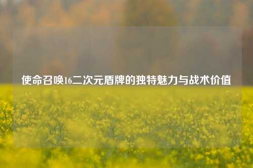使命召唤16二次元盾牌的独特魅力与战术价值
