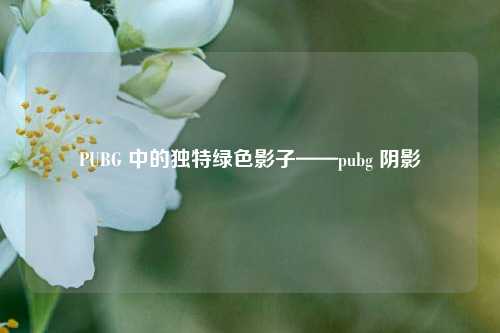 PUBG 中的独特绿色影子——pubg 阴影