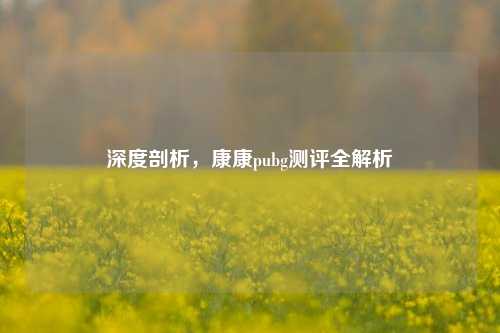 深度剖析,康康pubg测评全解析