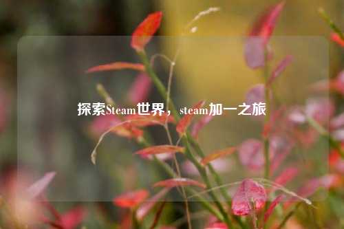 探索Steam世界，steam加一之旅