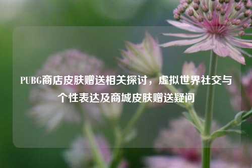 PUBG商店皮肤赠送相关探讨,虚拟世界社交与个性表达及商城皮肤赠送疑问