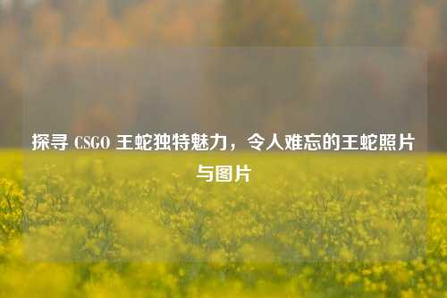 探寻 CSGO 王蛇独特魅力，令人难忘的王蛇照片与图片