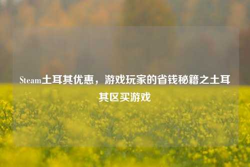 Steam土耳其优惠，游戏玩家的省钱秘籍之土耳其区买游戏