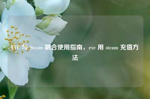 EVE 与 Steam 融合使用指南，eve 用 steam 充值方法