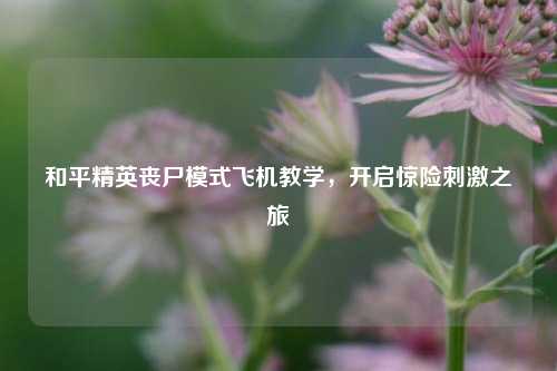和平精英丧尸模式飞机教学,开启惊险刺激之旅