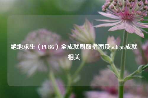 绝地求生(PUBG)全成就刷取指南及pubgm成就相关