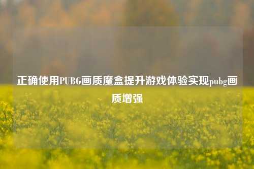 正确使用PUBG画质魔盒提升游戏体验实现pubg画质增强