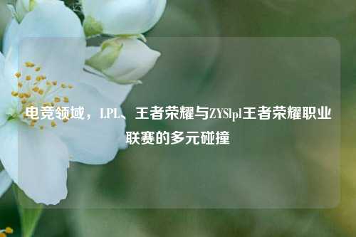 电竞领域，LPL、王者荣耀与ZYSlpl王者荣耀职业联赛的多元碰撞