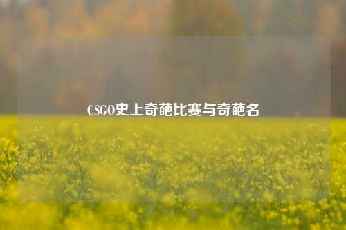 CSGO史上奇葩比赛与奇葩名
