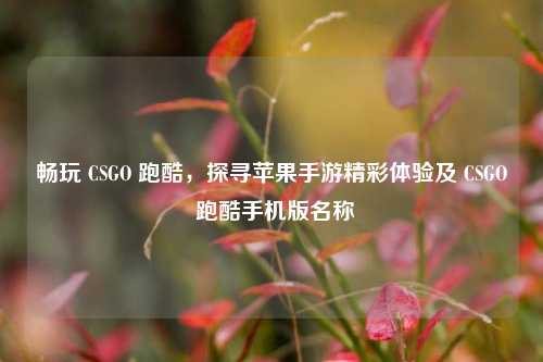 畅玩 CSGO 跑酷，探寻苹果手游精彩体验及 CSGO 跑酷手机版名称