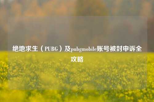 绝地求生（PUBG）及pubgmobile账号被封申诉全攻略