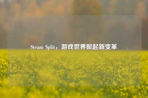 Steam Split,游戏世界掀起新变革