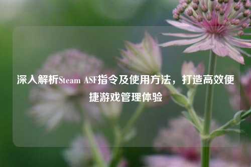 深入解析Steam ASF指令及使用方法,打造高效便捷游戏管理体验