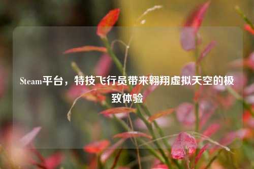 Steam平台，特技飞行员带来翱翔虚拟天空的极致体验