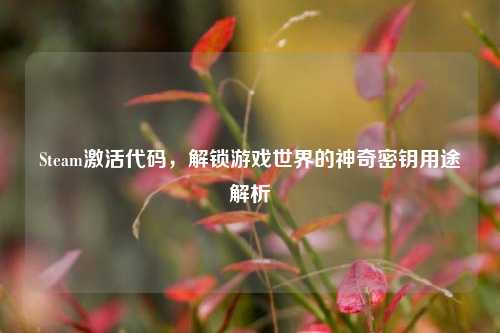 Steam激活代码,解锁游戏世界的神奇密钥用途解析