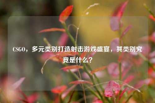 CSGO，多元类别打造射击游戏盛宴，其类别究竟是什么？