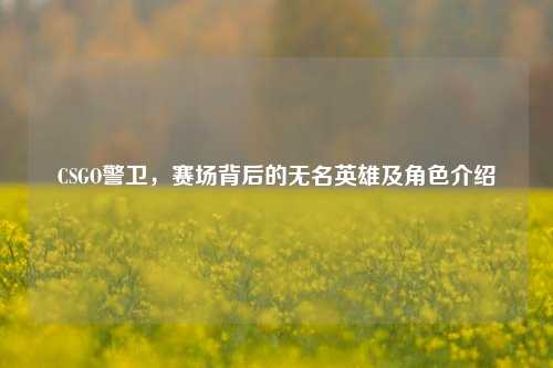 CSGO警卫，赛场背后的无名英雄及角色介绍