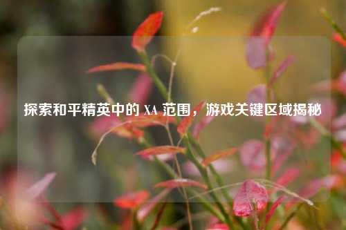 探索和平精英中的 XA 范围，游戏关键区域揭秘