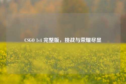 CSGO 1v4 完整版,挑战与荣耀尽显